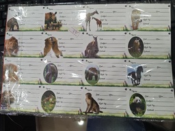 NAME SLIP MRP10